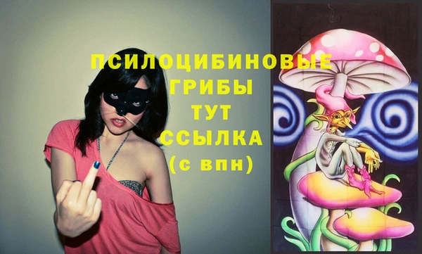 спиды Алзамай